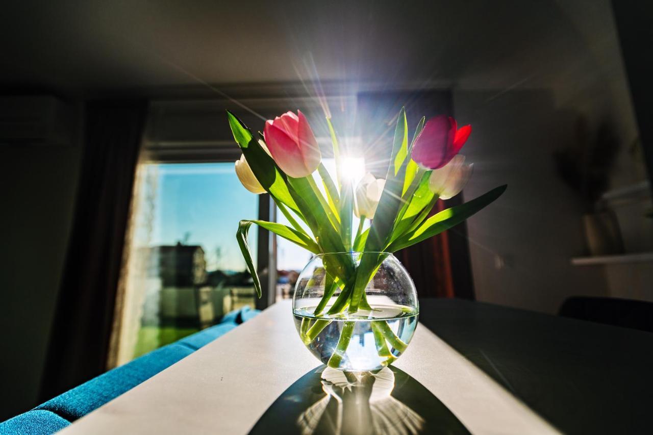 Holiday Apartment Zadar - With Summer Balcony And Parking Екстериор снимка